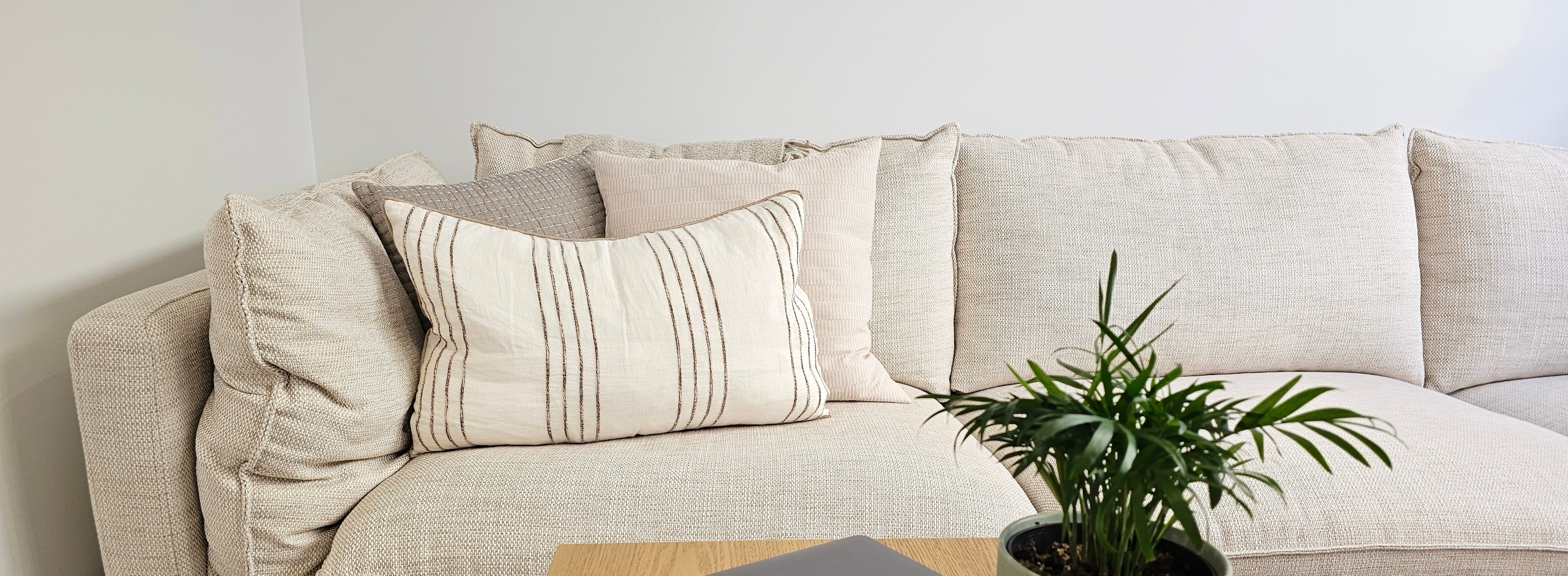 Therapy room with sofa and natural light