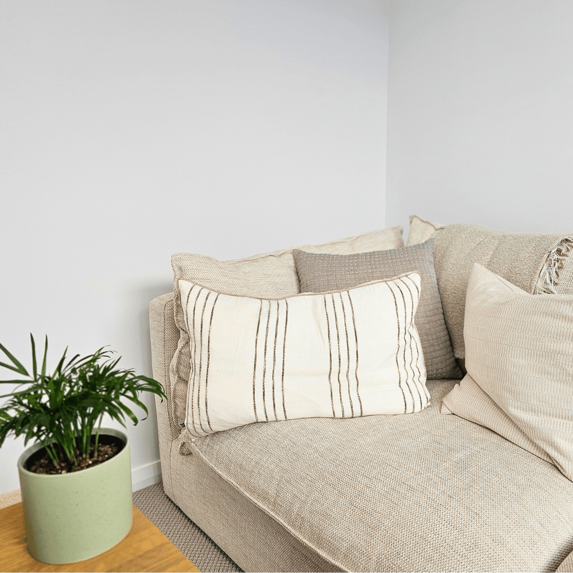Comfortable sofa with striped cushion and green plant